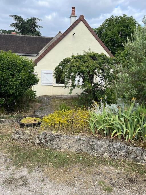 La Petite Maisonnette Saint-Georges-sur-Cher Exterior foto